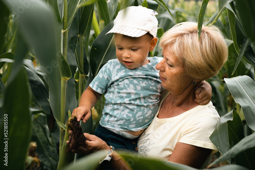Wallpaper Mural Grandmother and child outdoor laughing in corn field. Senior and boy together generation happiness vitality concept Torontodigital.ca