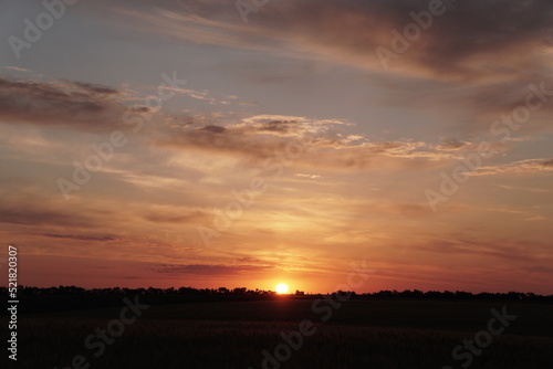 dawn. steppe. spikelets.