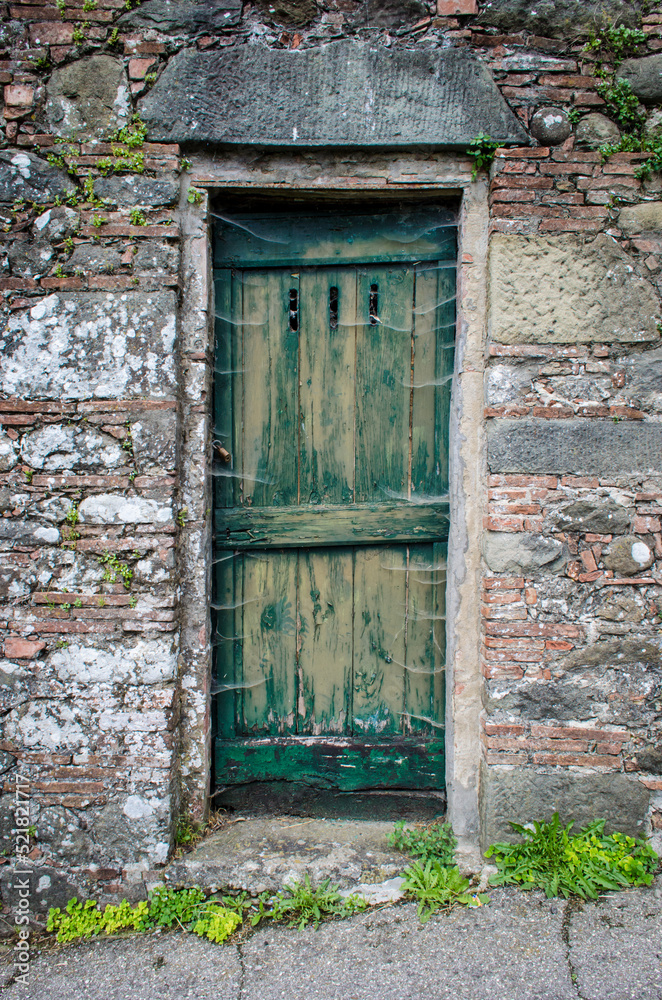La porta di legno di una casa diroccata con i papaveri rossi che crescono sui gradini La porta di legno di una casa diroccata con i papaveri rossi che crescono sui gradini