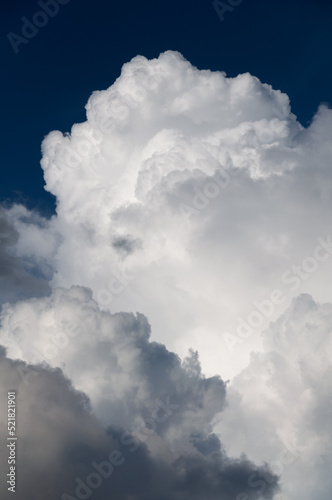 An image of white huge cumulonimbus cloud , rising up in the dark blue sky. vertical image. Cloudscape, Japan