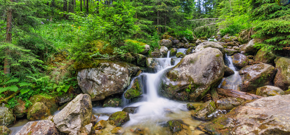Beautiful close up ecology nature landscape with mountain creek. Abstract long exposure forest stream with pine trees and green foliage background. Autumn tiny waterfall rocks, amazing sunny nature Beautiful close up ecology nature landscape with mountain creek. Abstract long exposure forest stream with pine trees and green foliage background. Autumn tiny waterfall rocks, amazing sunny nature