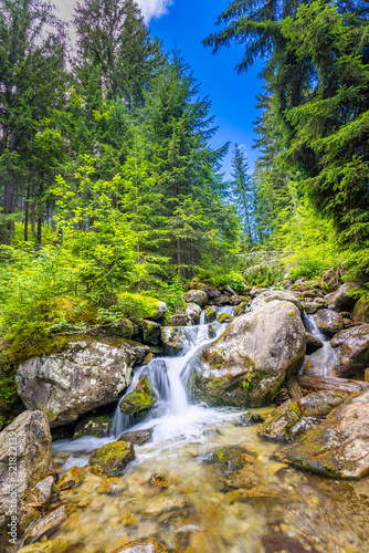 Beautiful close up ecology nature landscape with mountain creek. Abstract long exposure forest stream with pine trees and green foliage background. Autumn tiny waterfall rocks  amazing sunny nature