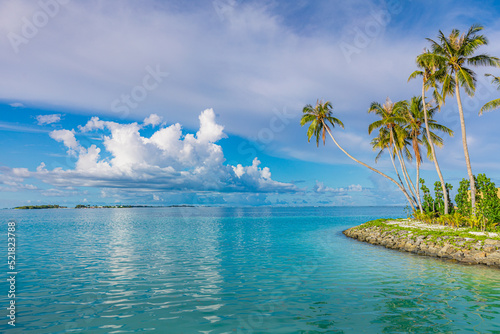 Paradise sunny beach with coco palms and turquoise sea. Summer vacation and tropical beach concept. Breakwater typical waters edge with palm trees and calm sea surface. Miami beach Florida seascape