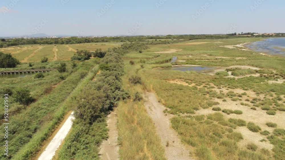 Marais du Méjean, réserve naturelle à Lattes, Occitanie Marais du Méjean, réserve naturelle à Lattes, Occitanie