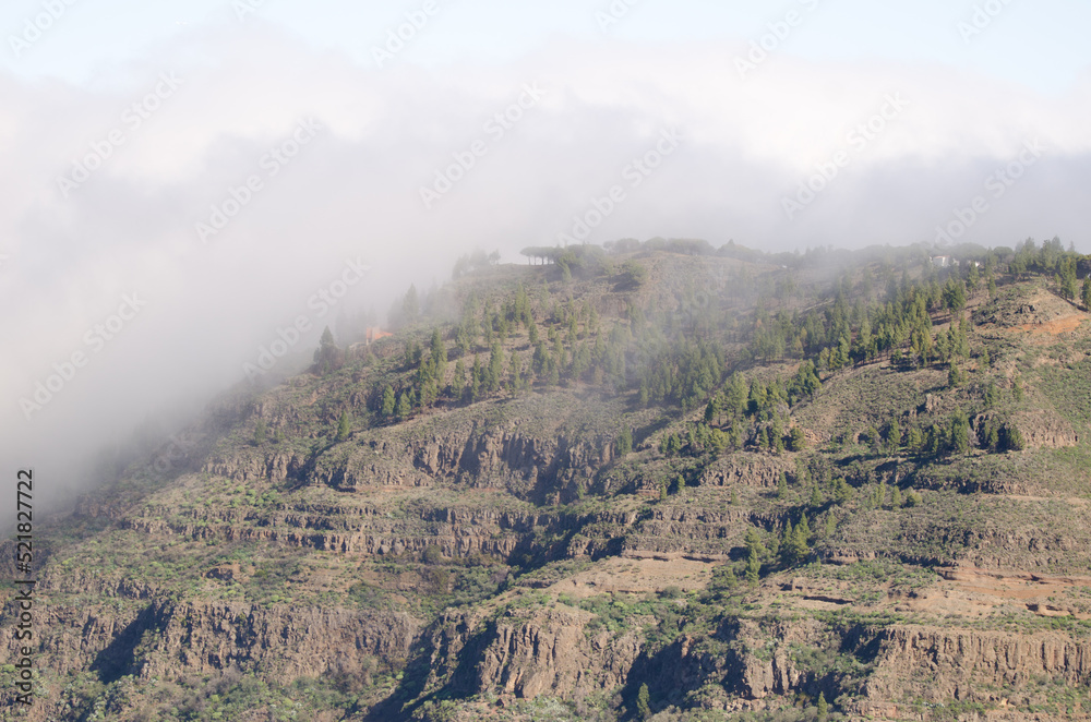 Cliff and sea of clouds descending the slope. The Nublo Rural Park. Gran Canaria. Canary Islands. Spain.