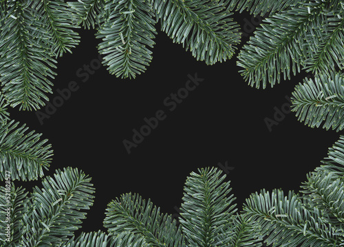 Green branches of nobilis f...