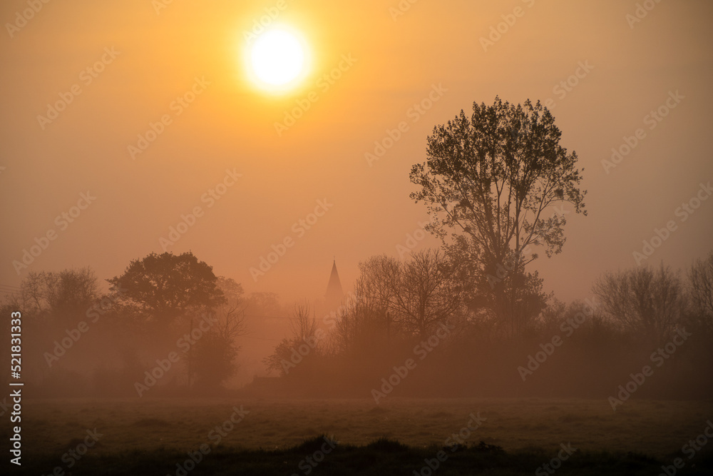 Sunrise over a foggy meadow in Normandy, France