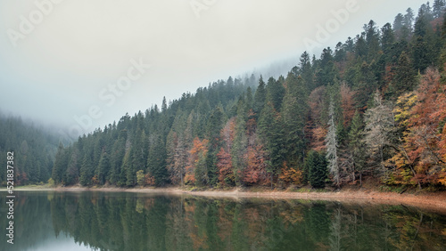 Lake in mystery fog with autumn forest. Ghostly mountain lake. Ukrainian lake Synevir