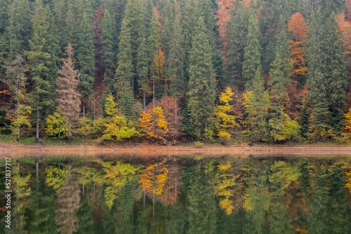 Lake in mystery fog with autumn forest. Ghostly mountain lake. Ukrainian lake Synevir