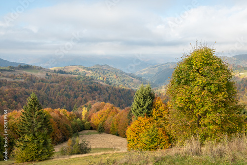 carpathian landscape in october. hills and mountain range in warm sunny weather with low clouds in the sky in autumn