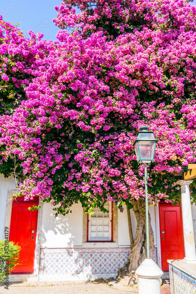 Beautiful pink flowers in front of two red doors and a street light