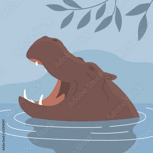 Large adult hippo. Floats in the water. Head with open mouth. Wild and dangerous aquatic animal of Africa. Herbivorous mammal. fauna and zoo. Flat vector illustration isolated on white background