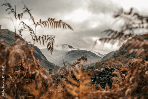 Misty Mountain 