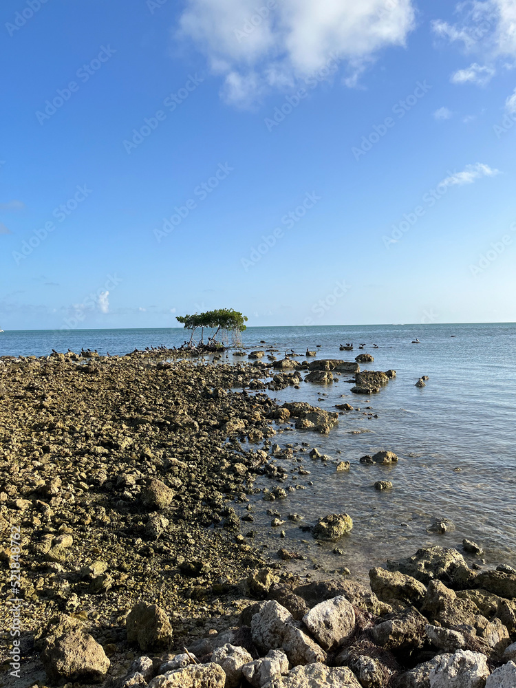 rocks on the beach