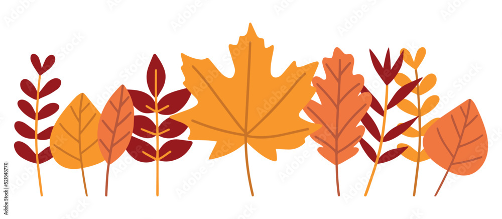 Fototapeta premium Autumn leaves set isolated on a white background. Simple cartoon flat style, vector illustration.