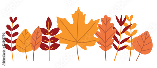 Autumn leaves set isolated on a white background. Simple cartoon flat style, vector illustration.