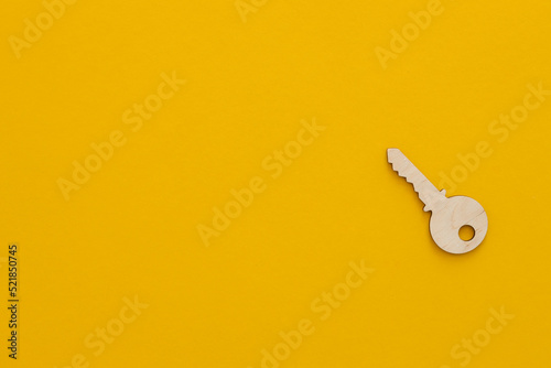 Life coaching concept - wooden key standing on a yellow background © ALEXSTUDIO