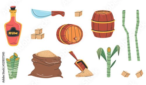 Brown sugar cane alcohol drink rom production agriculture isolated set collection concept. Vector graphic design element illustration