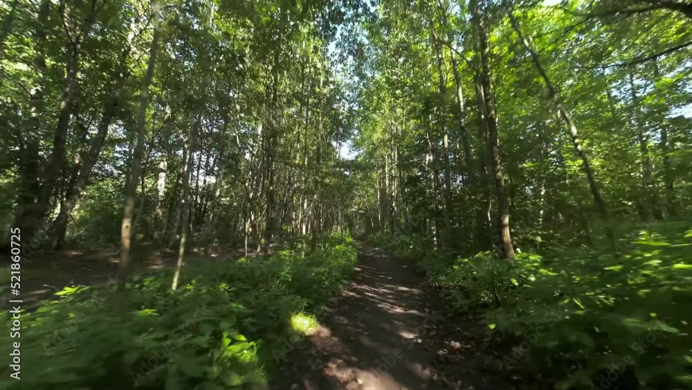 First person fast and smooth camera movement over shady forest footpath. FPV flight forward First person fast and smooth camera movement over shady forest footpath. FPV flight forward