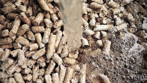 Soaking wooden sawdust pellets with water. Timelapse of pouring water into the cat litter filler or organic fuel. Moist hardwood pellets for mushroom cultivation substrate. 4k 60 fps background