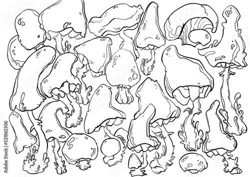 mushroom set. linear art. antistress coloring book, coloring book for children. tattoo