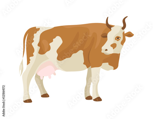 Brown and white spotted cow. Livestock. Vector illustration isolated on a white background.