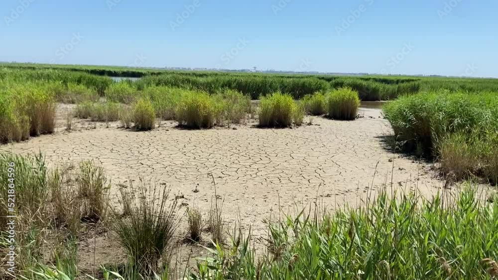 Marais asséché, réserve naturelle de l’étang du Méjean, Occitanie
