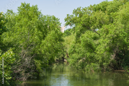 Quadro su tela Edwards Aquifer spring fed San Antonio River facing upriver toward Confluence Park in the Mission District is a tourist place to walk along the miles of hiking trails beside the scenic river