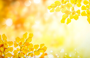 Vibrant fall foliage