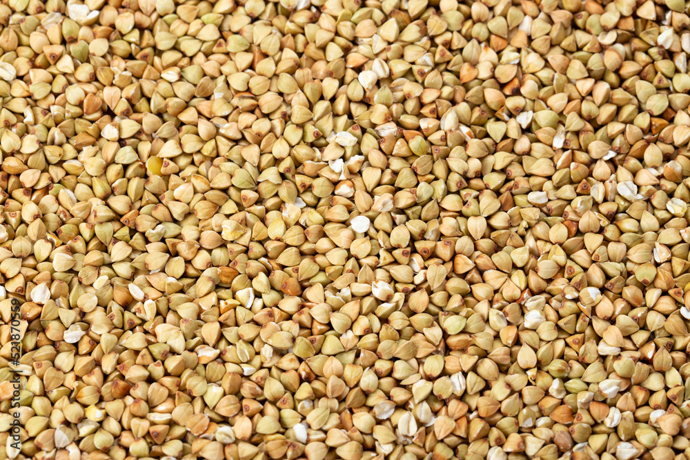 fresh buckwheat. dry buckwheat background. buckwheat texture. fresh buckwheat. dry buckwheat background. buckwheat texture.