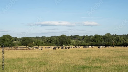 Blue sky background with a tiny clouds