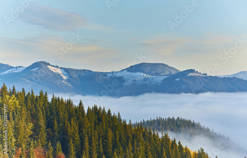 Fototapeta Naklejka Na Ścianę i Meble -  mountain forests covering with a lot of fog.