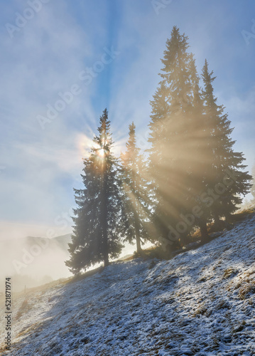 fog landscape forest mountains  trees view mist