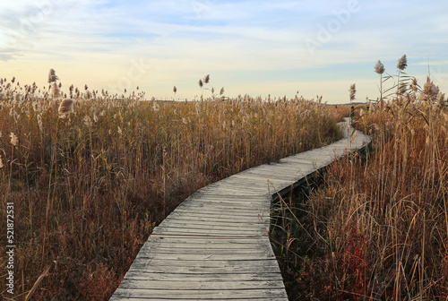 Path winding through Marsh at Plum Island, Massachusetts