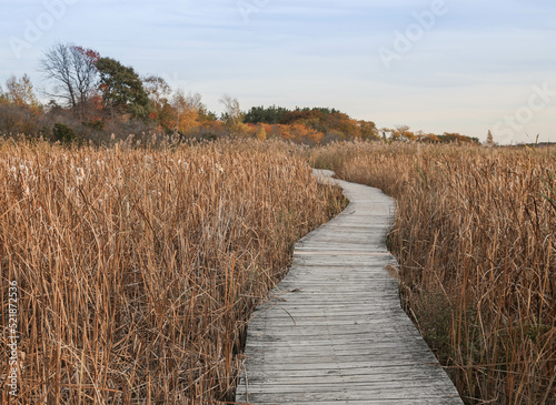 Path winding through Marsh at Plum Island, Massachusetts