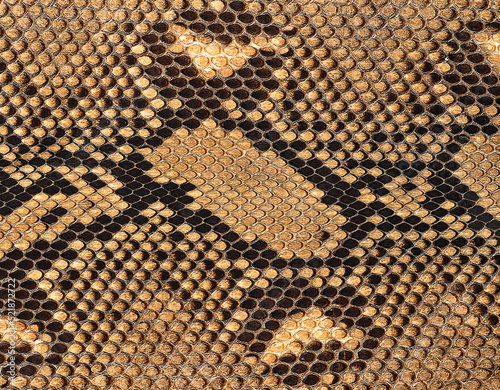 Reticulated python skin as background. Brown snake skin.