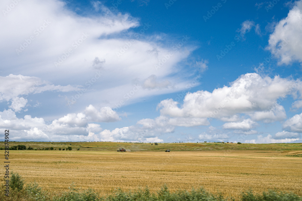 Rural landscape. Combine harvester working in the field. Agriculture. Countryside.