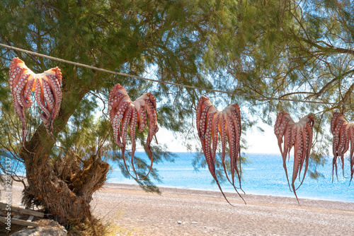 Fresh caught octopuses hanging to dry on the beach. Greece. Rhodes.