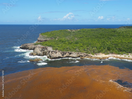 Les sargasses aux Antilles, fléau pour le tourisme photo