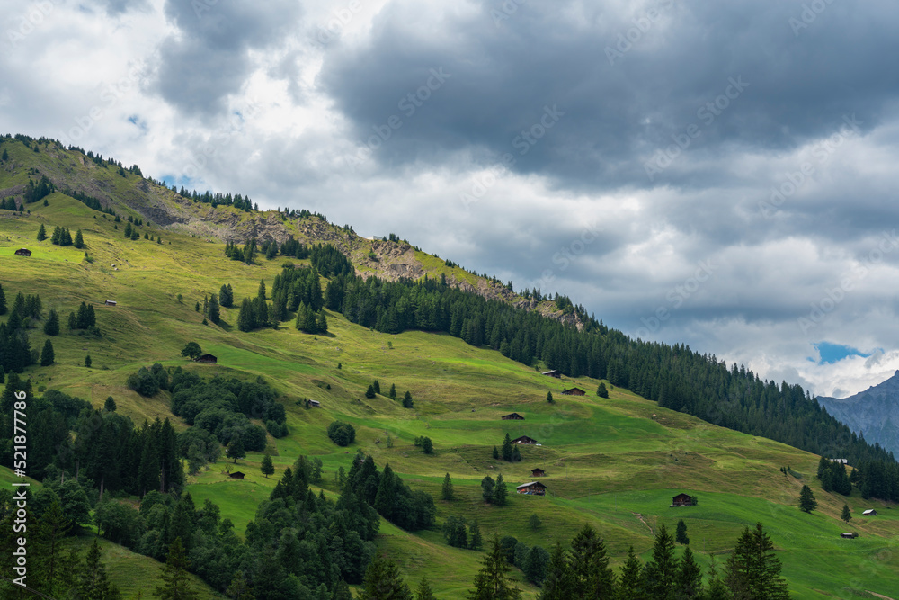 Alpweiden in Adelboden, Streusiedlung mit alten Bauernhäuser aus Holz auf grünen Wiesen und Weiden am Waldrand. 