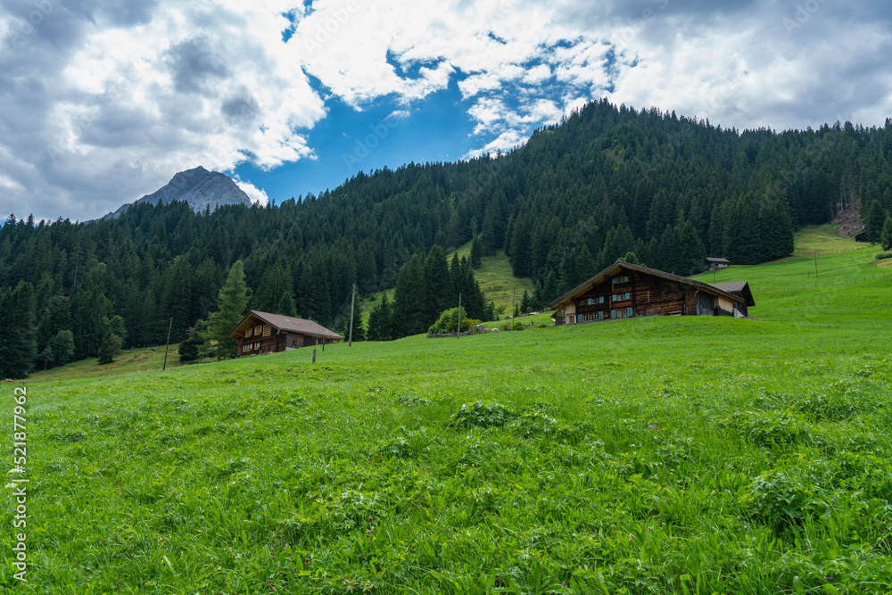 alte Bauernhäuser aus Holz im Boden, Adelboden. Streusiedlung mit Wiesen und Wäldern in den schweizer Alpen. Berge im Hintergrund