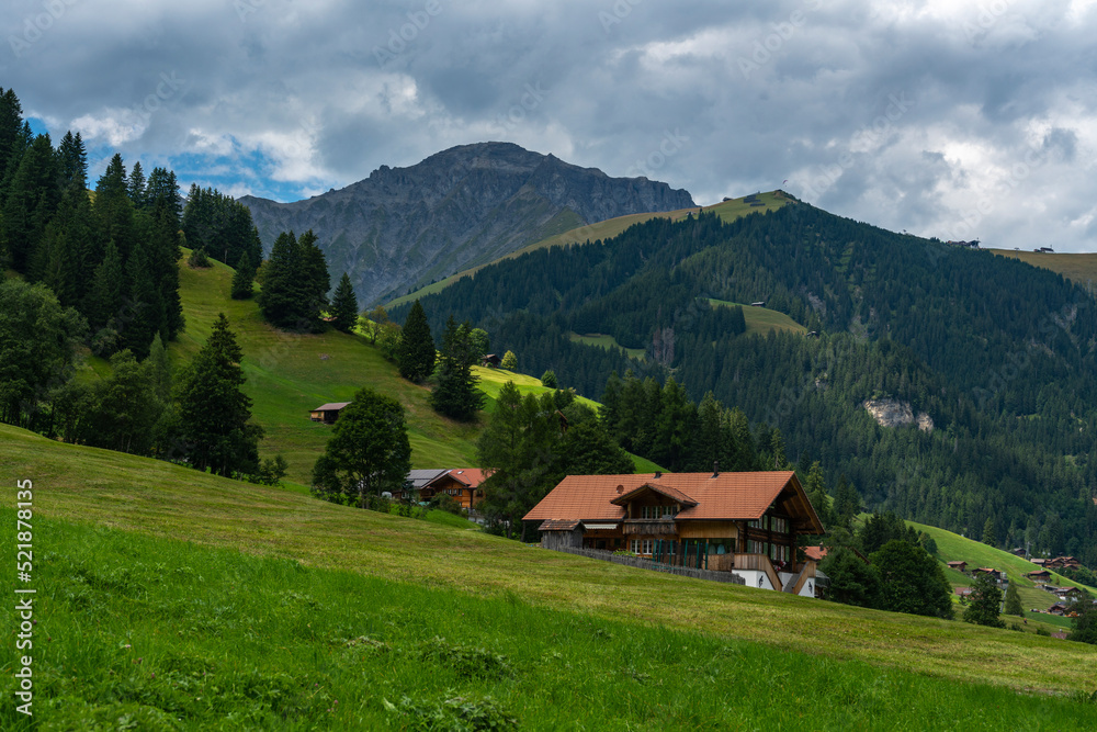 alte Bauernhäuser aus Holz im Boden, Adelboden. Streusiedlung mit Wiesen und Wäldern in den schweizer Alpen. Berge im Hintergrund