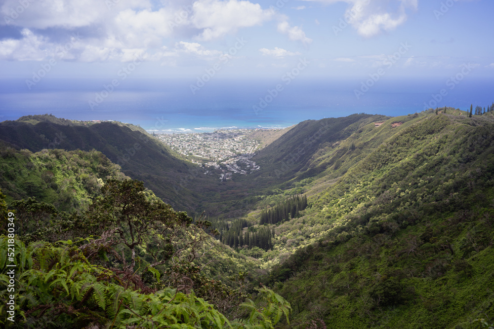 Naklejka premium view from the mountain