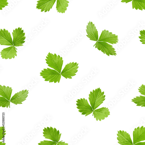 Strawberry Leaf isolated on white background, SEAMLESS, PATTERN