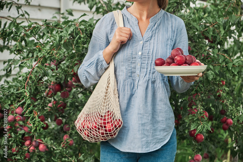 Unrecognizable female gardener holding a plate of plums and a string eco mesh bag in her family backyard garden