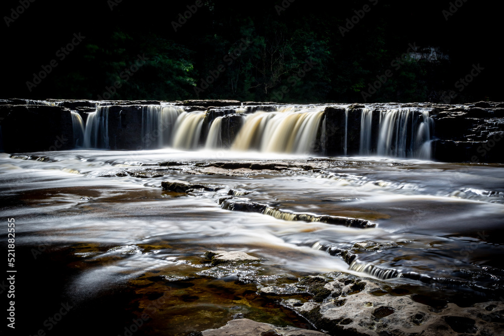 Fototapeta premium waterfall in the forest