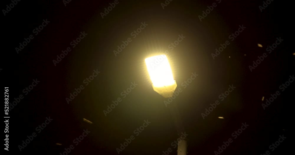 Mosquito swarm near light lamp at night Mosquito swarm near light lamp at night