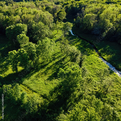 Natural Rural Wisconsin Wilderness in Summer