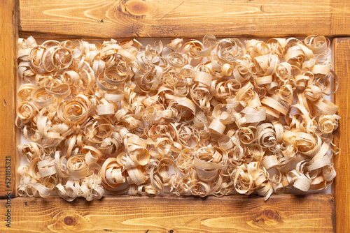 Wood shavings and old plank board texture. Wooden curls carpentry woodworking concept