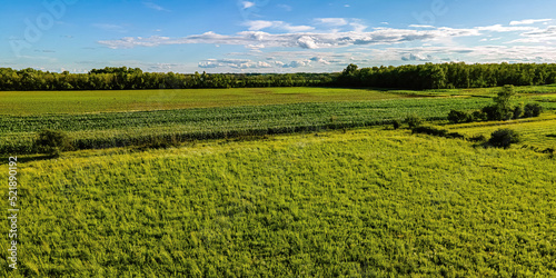 Cloudy Blue Sky over farm fields